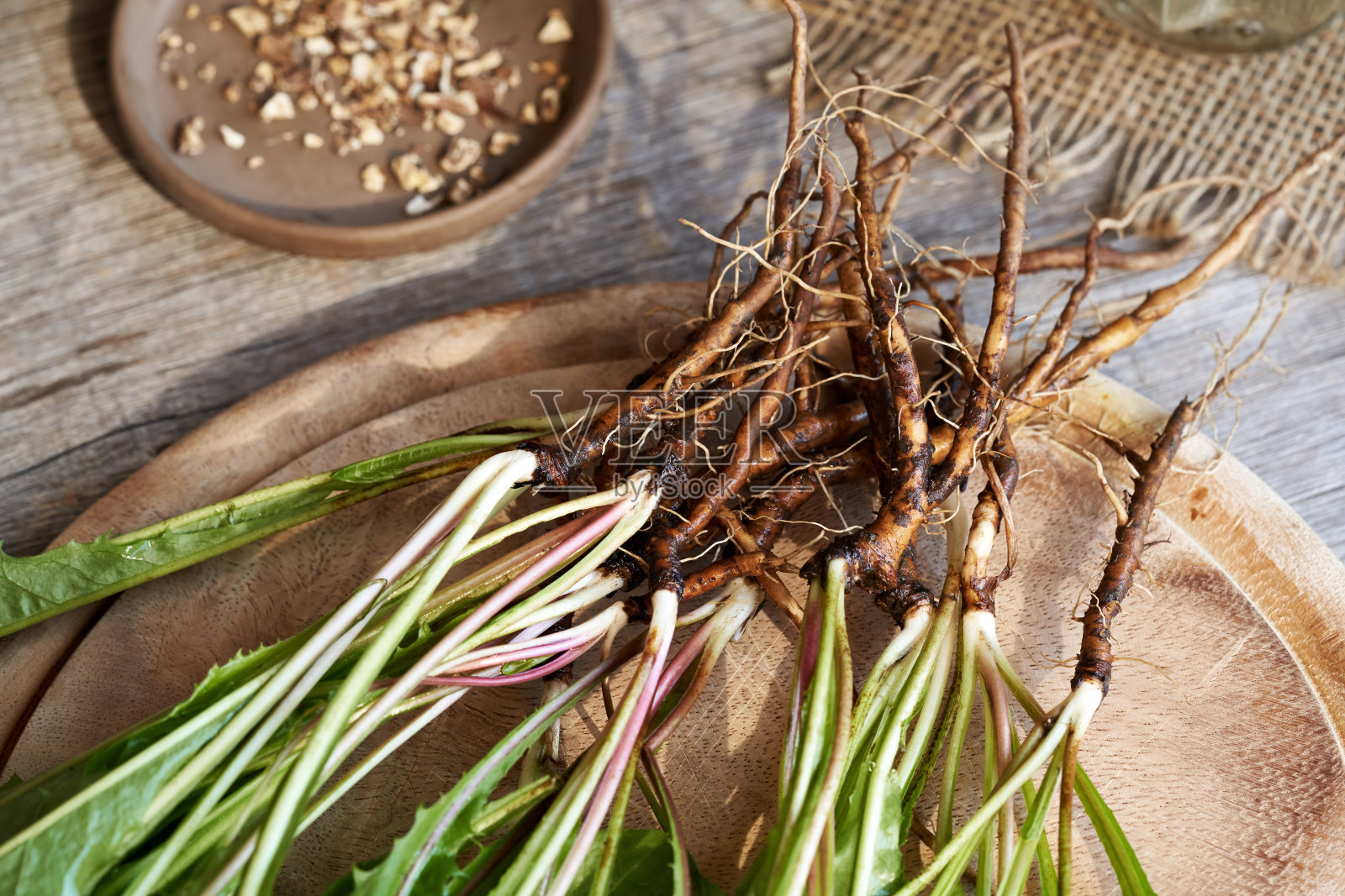 桌上放着新鲜的蒲公英根照片摄影图片
