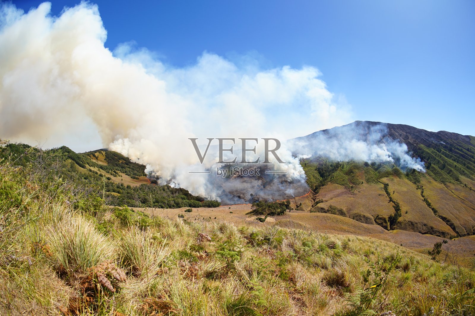 森林和国家公园的土地火灾照片摄影图片