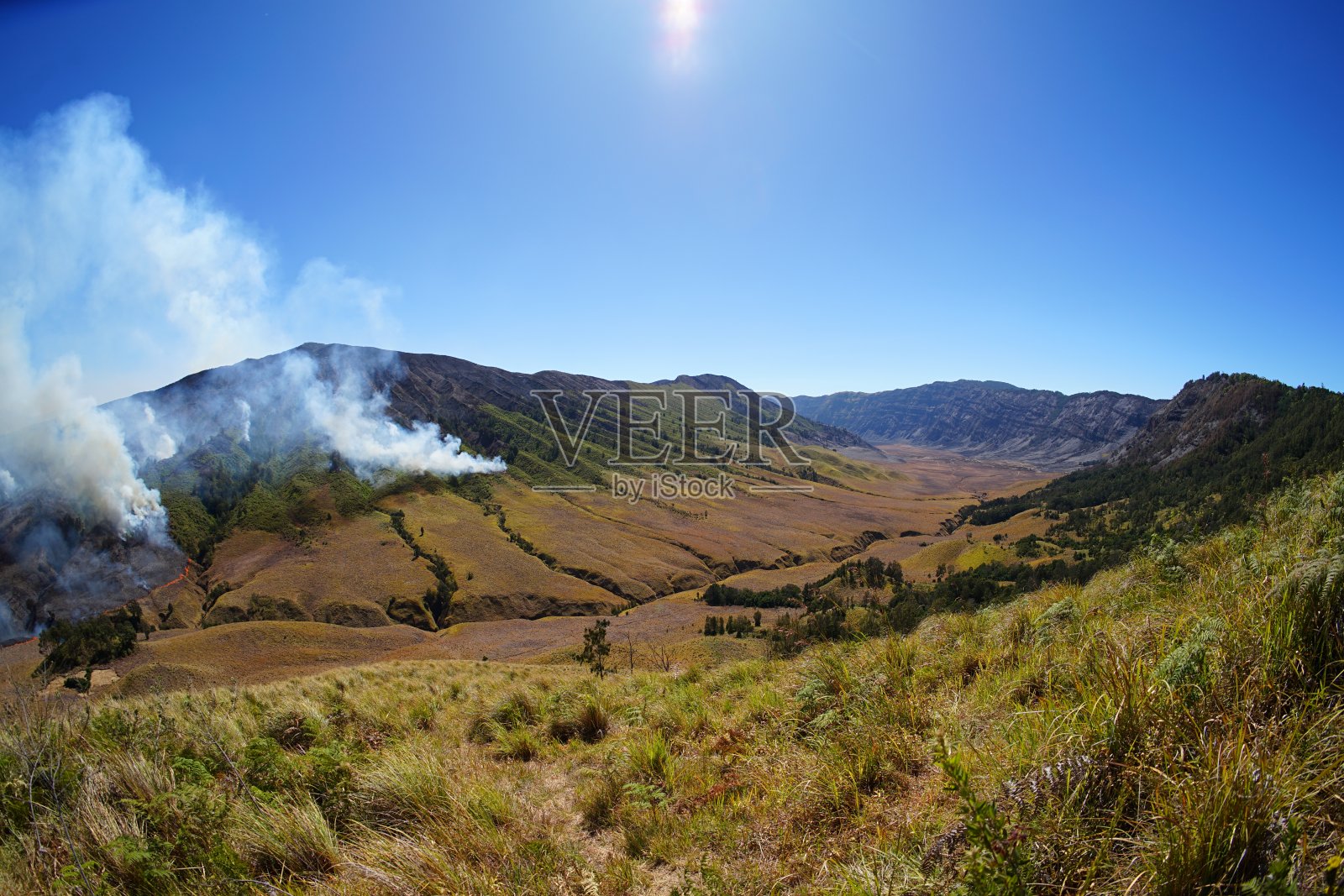 森林和国家公园的土地火灾照片摄影图片
