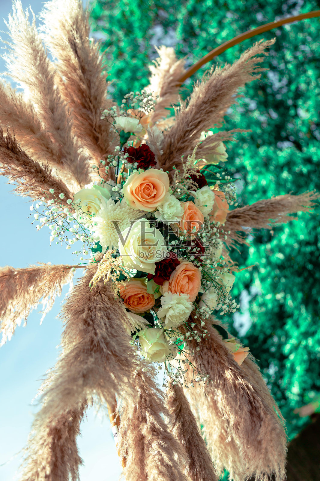 鲜花和干花照片摄影图片