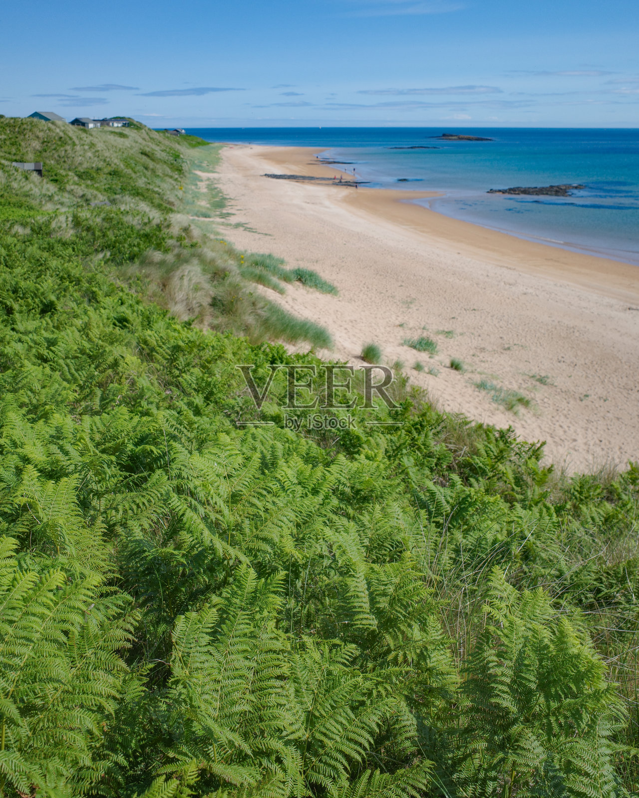 从Low Newton海边俯瞰诺森伯兰郡海岸的海滩景色照片摄影图片