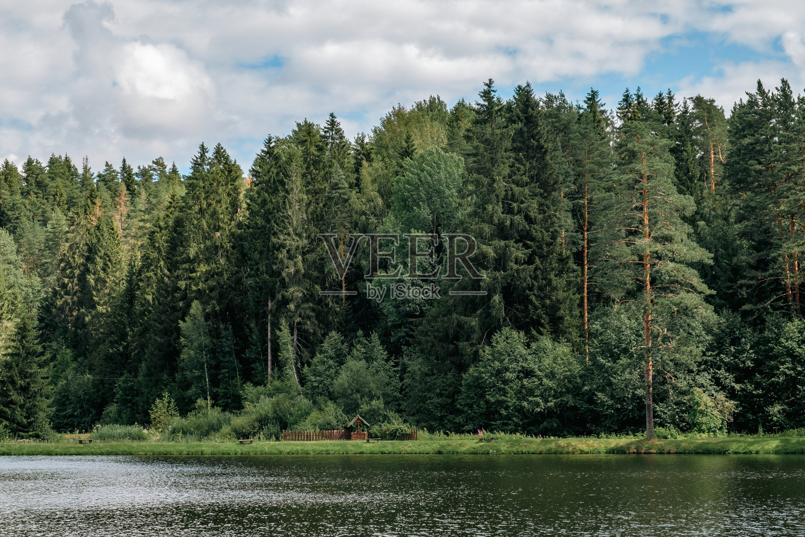 俄罗斯美丽的森林湖。照片摄影图片