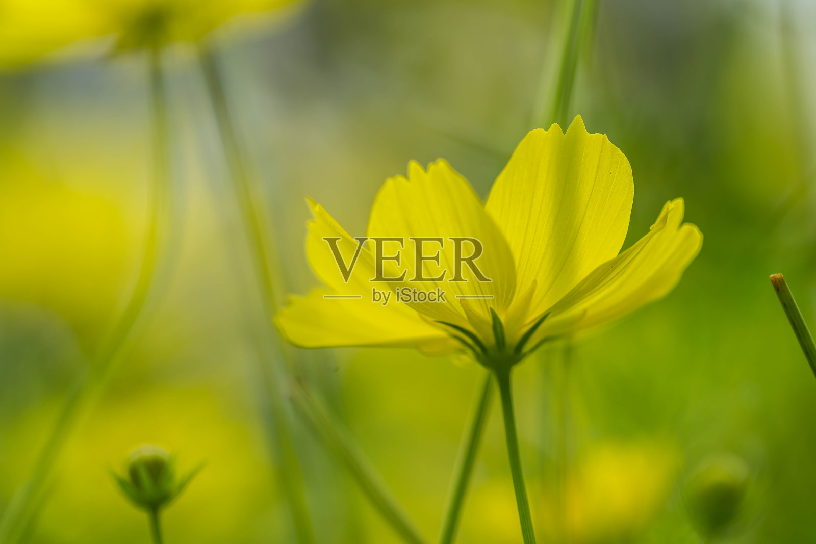 宇宙照片摄影图片