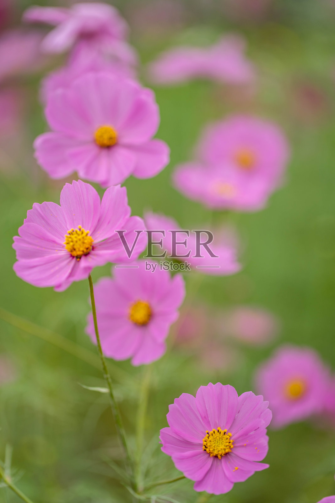 宇宙照片摄影图片