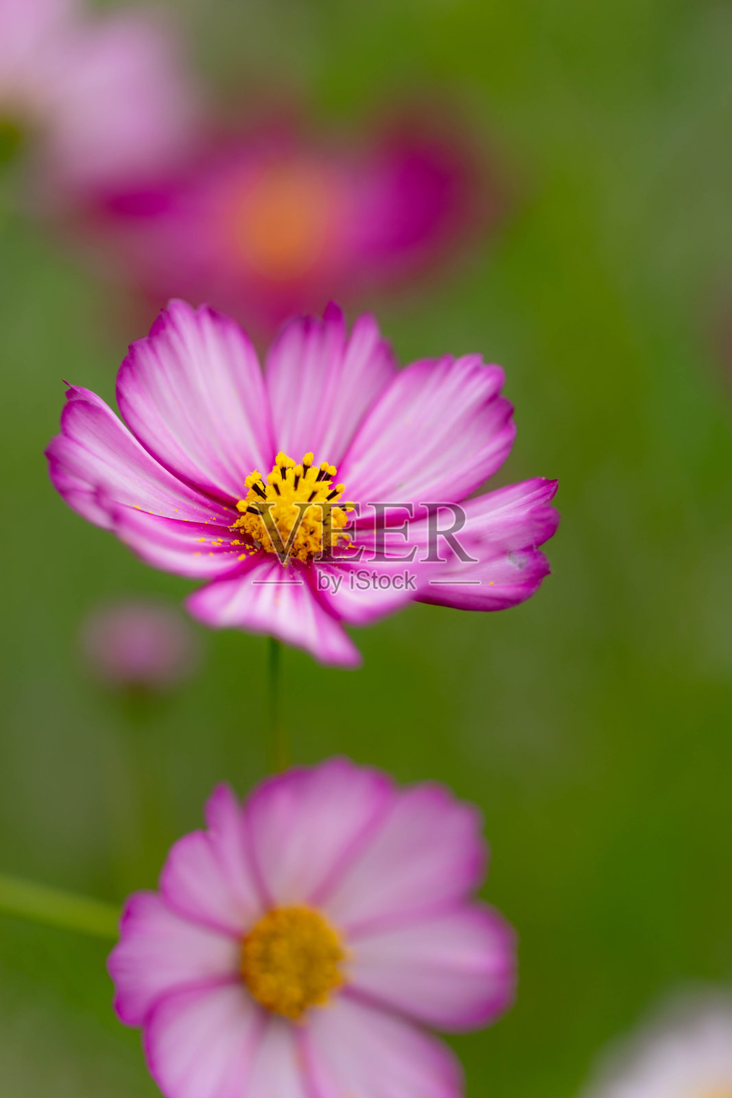 宇宙照片摄影图片