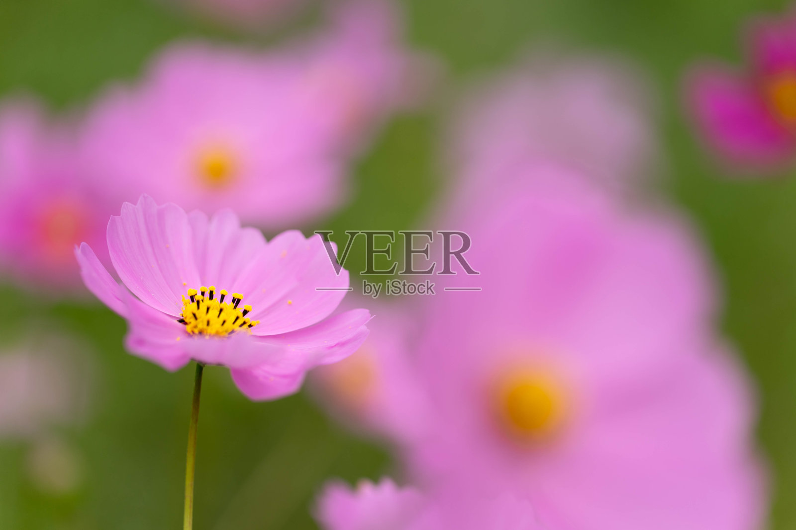 宇宙照片摄影图片