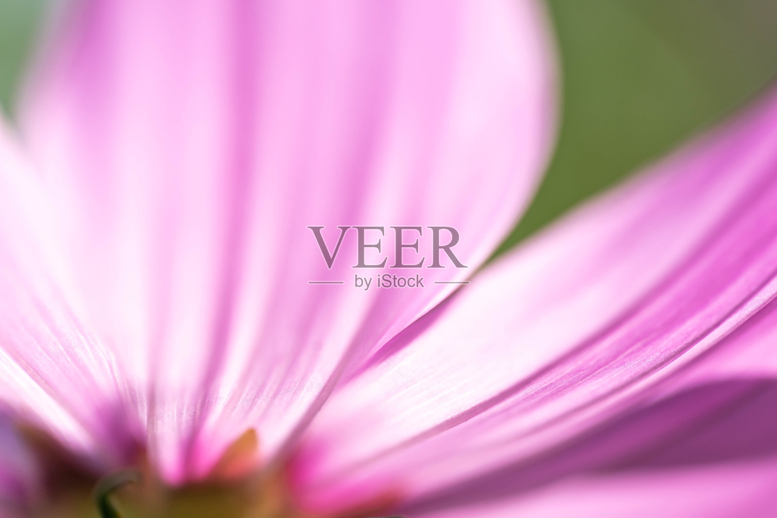 宇宙照片摄影图片