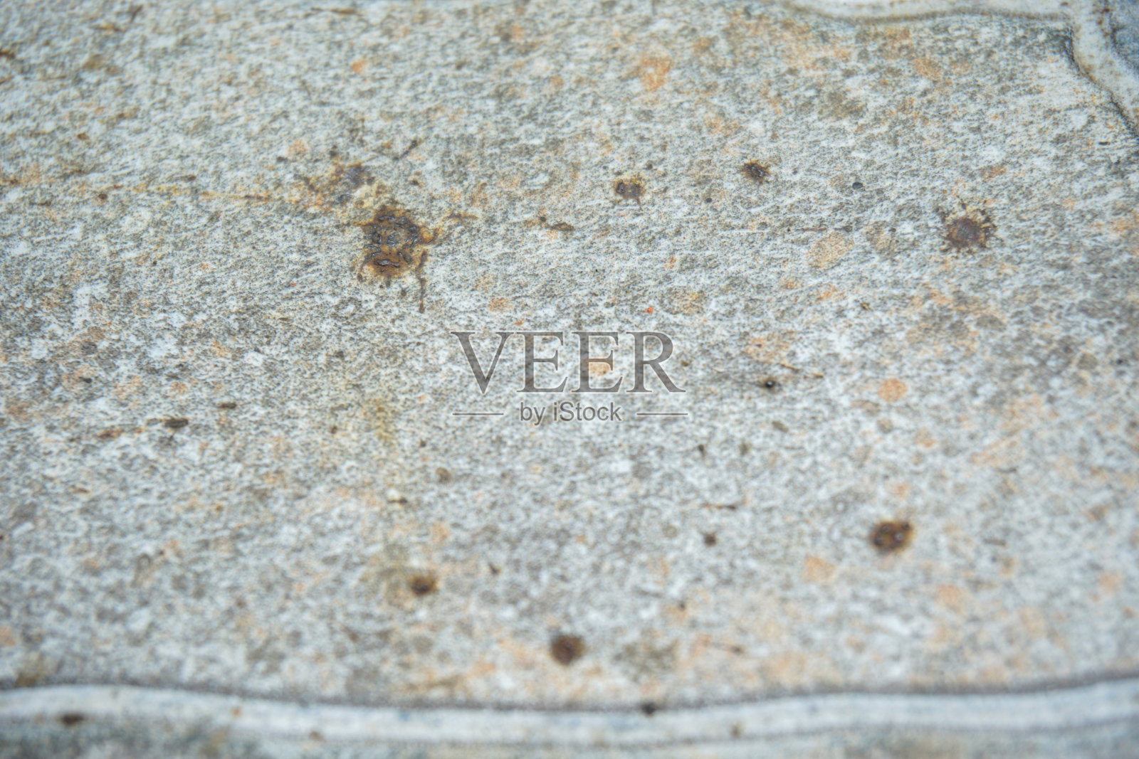 库存照片与空白空间在橙树，橙田背景。用于产品展示蒙太奇照片摄影图片