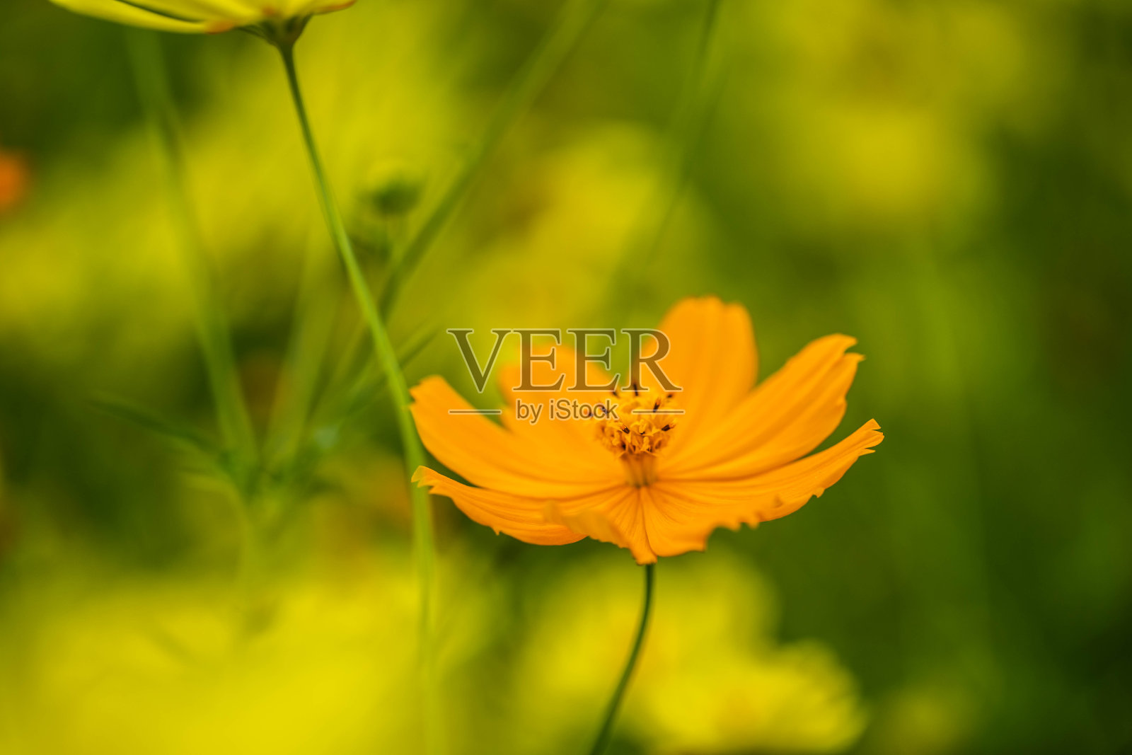 宇宙照片摄影图片