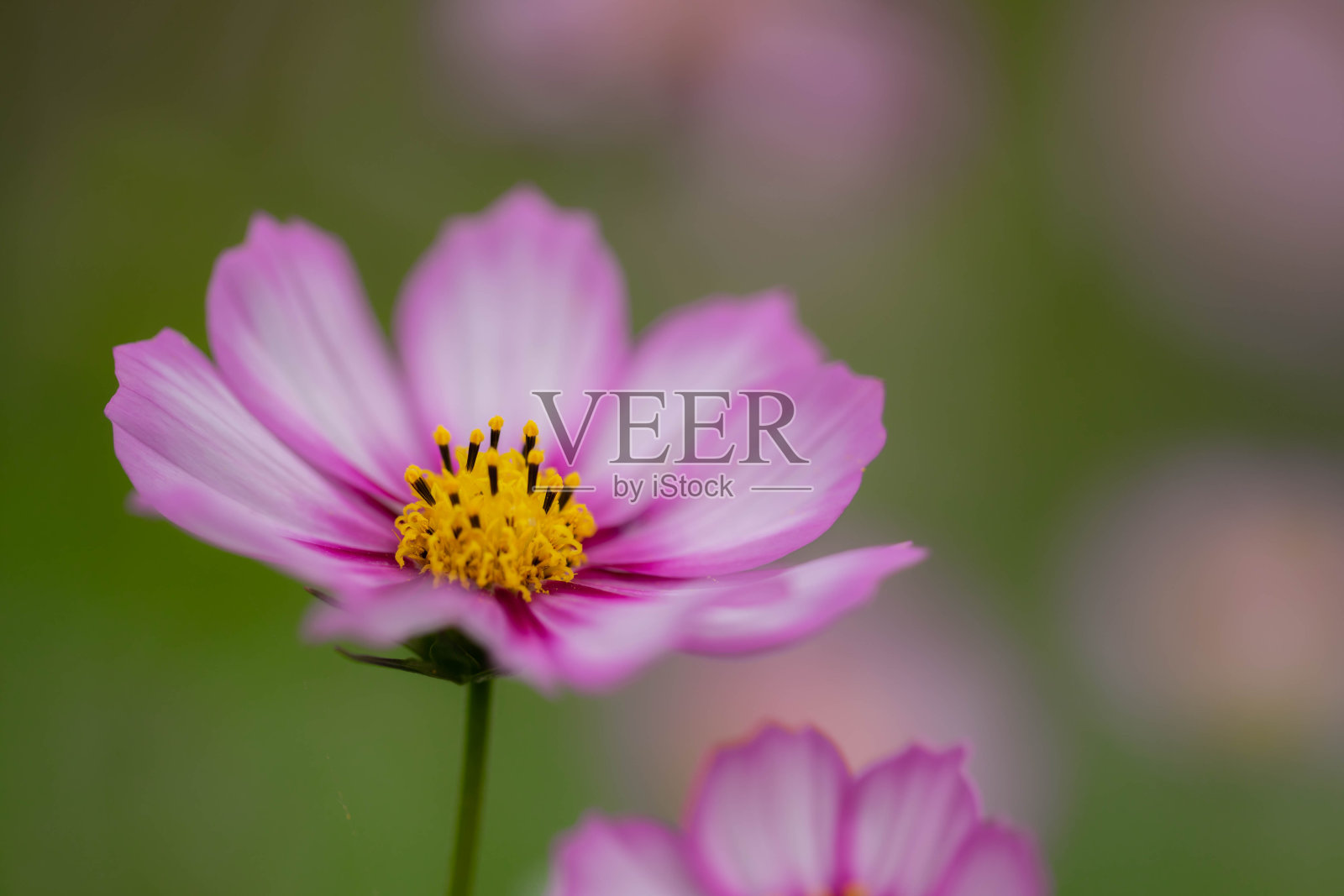 宇宙照片摄影图片