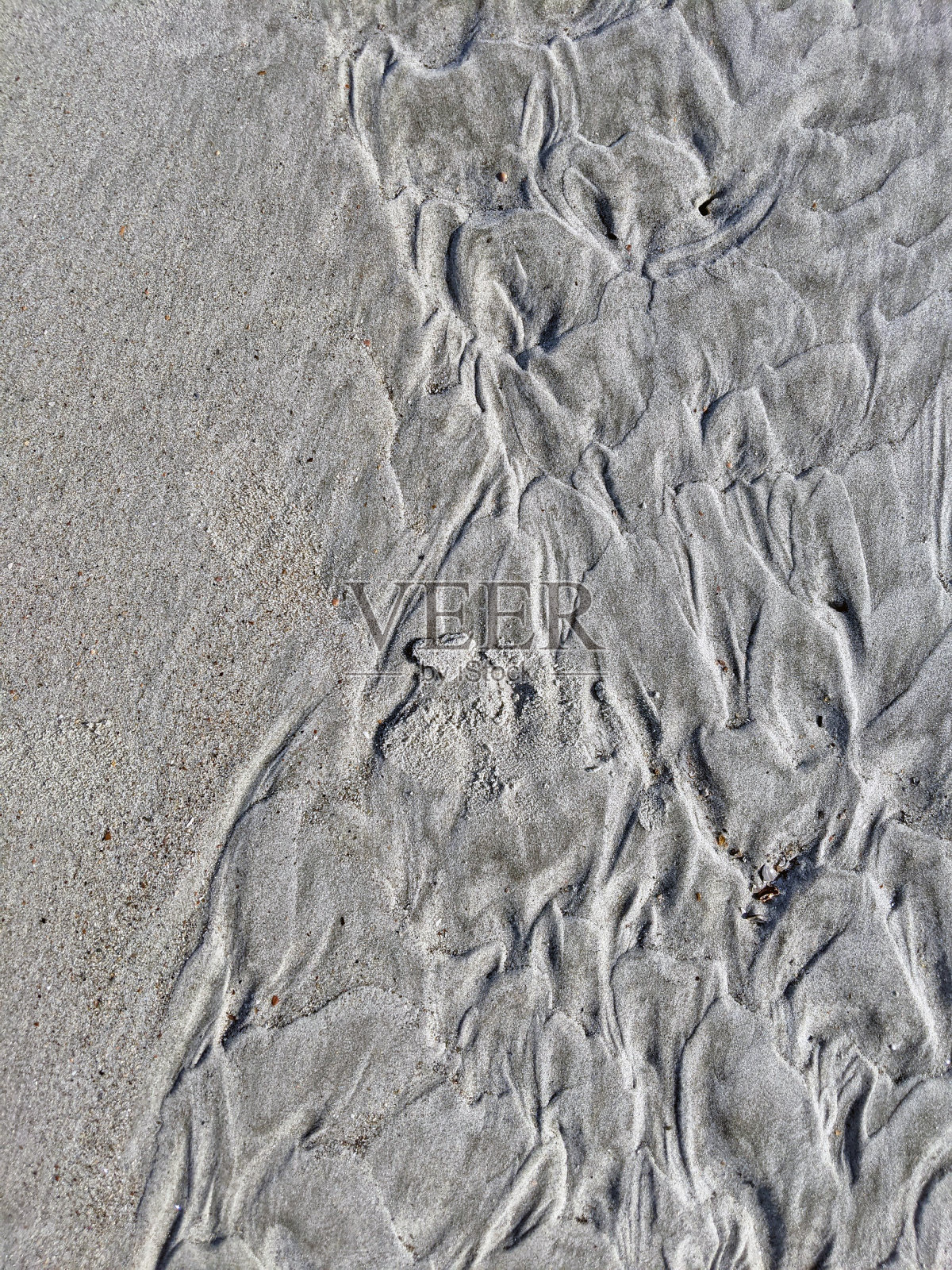 泰比岛，乔治亚州照片摄影图片