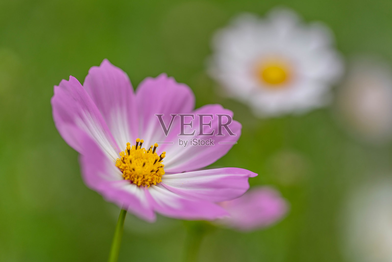 宇宙照片摄影图片