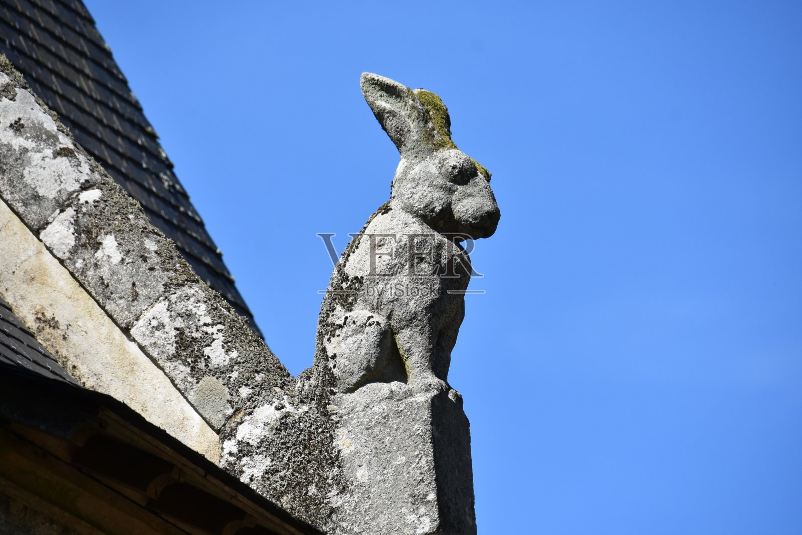 布列塔尼，屋顶上的兔子石雕像照片摄影图片