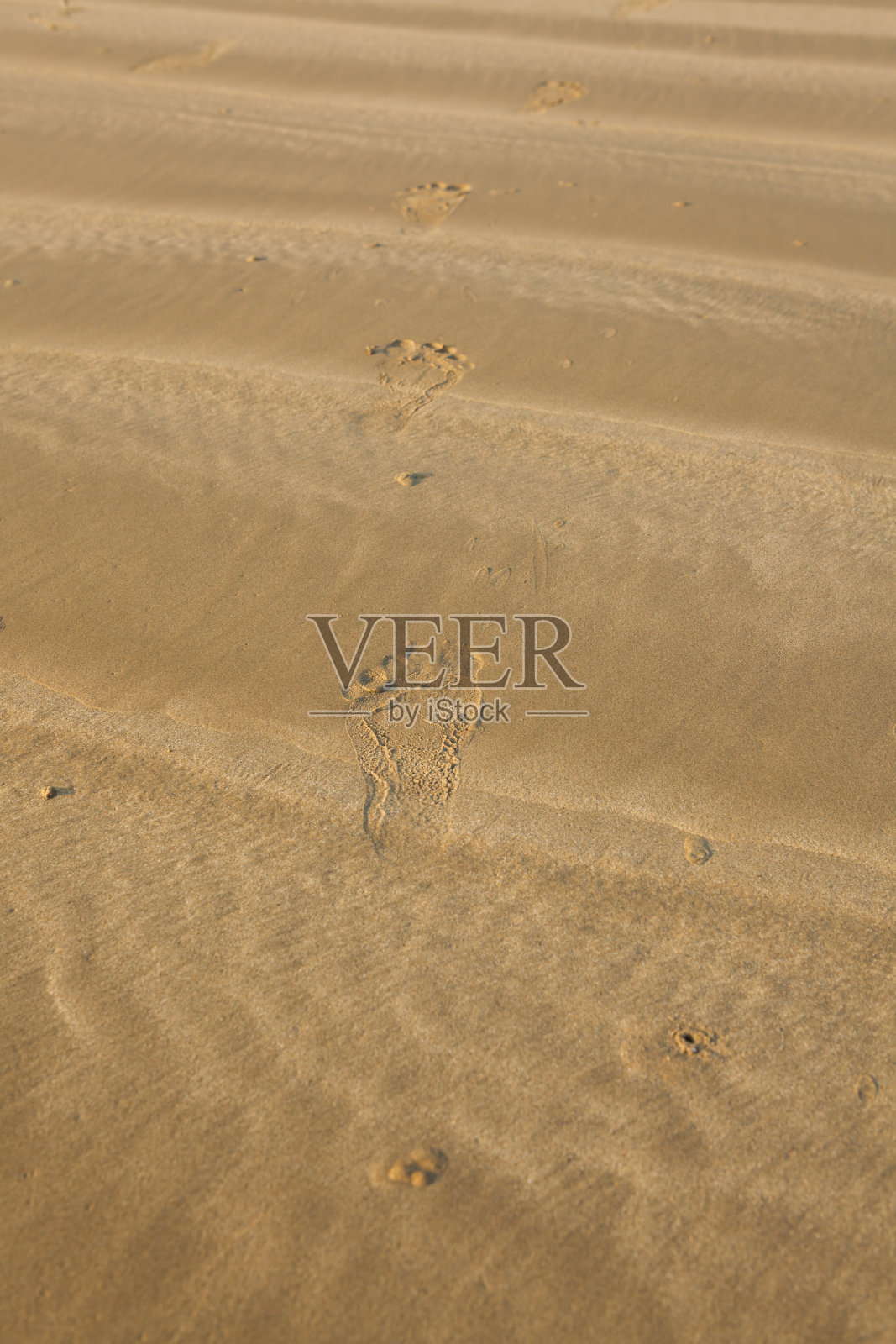 金色沙滩上的脚印特写照片摄影图片