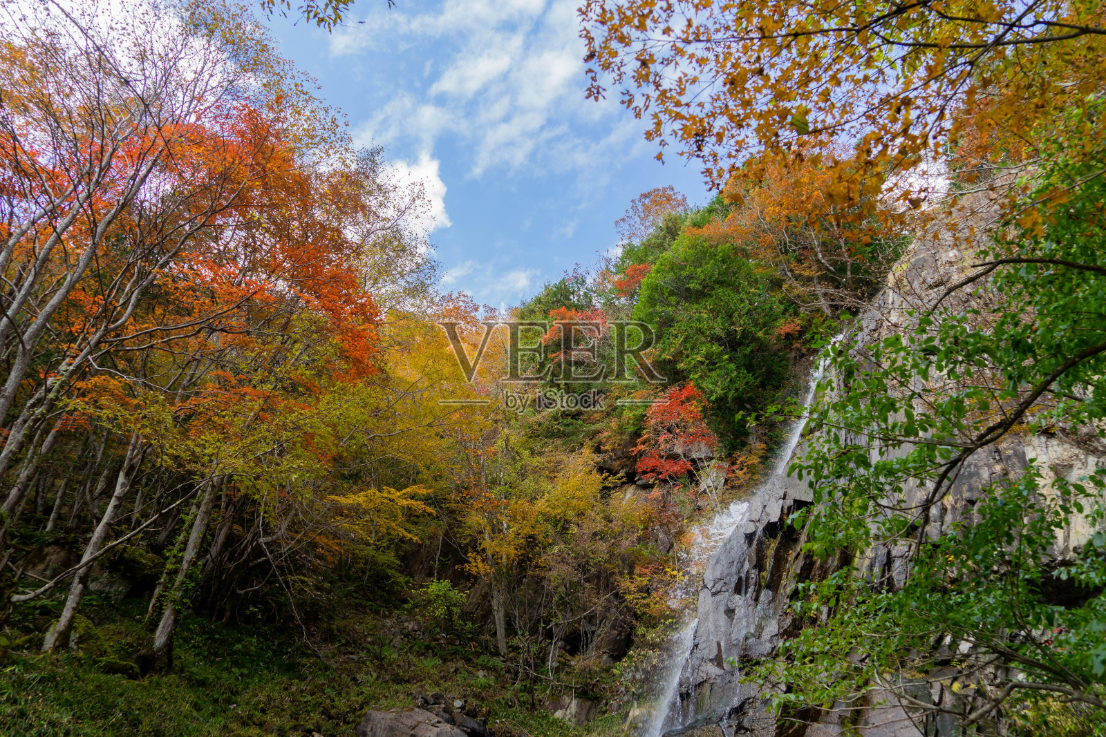 秋天景色照片摄影图片