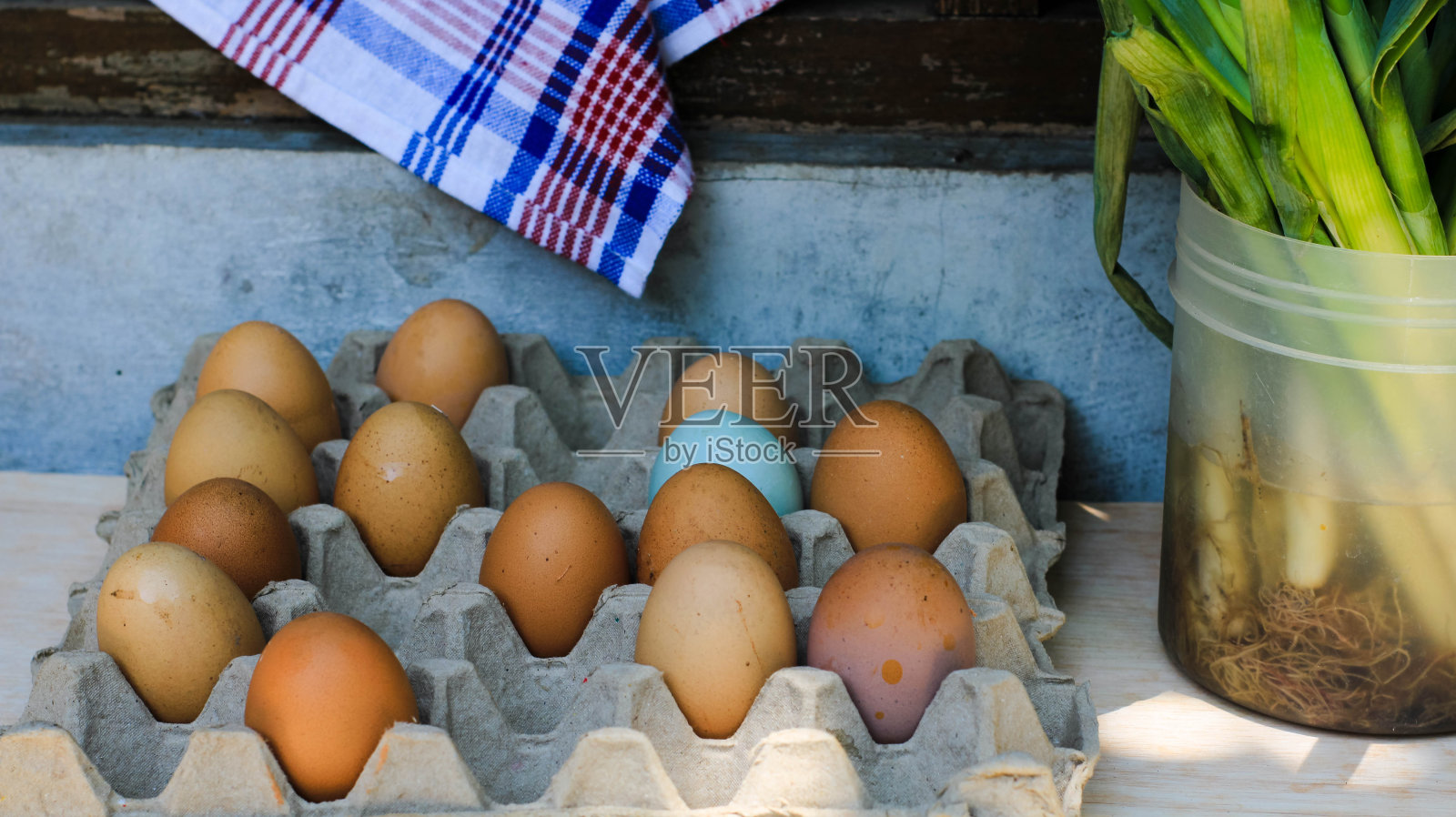 纸板鸡蛋照片摄影图片
