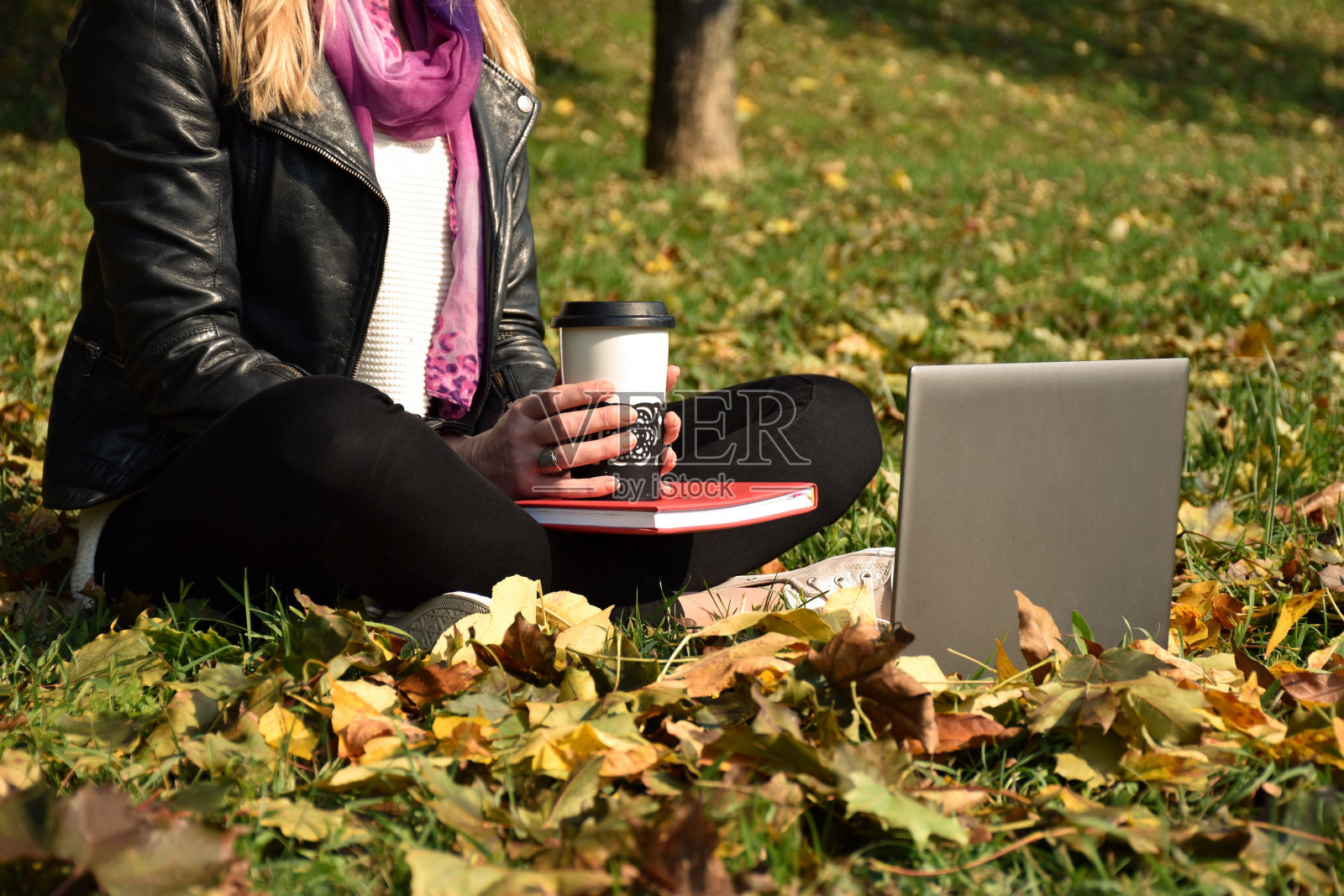 坐在草地上用笔记本电脑的女人照片摄影图片