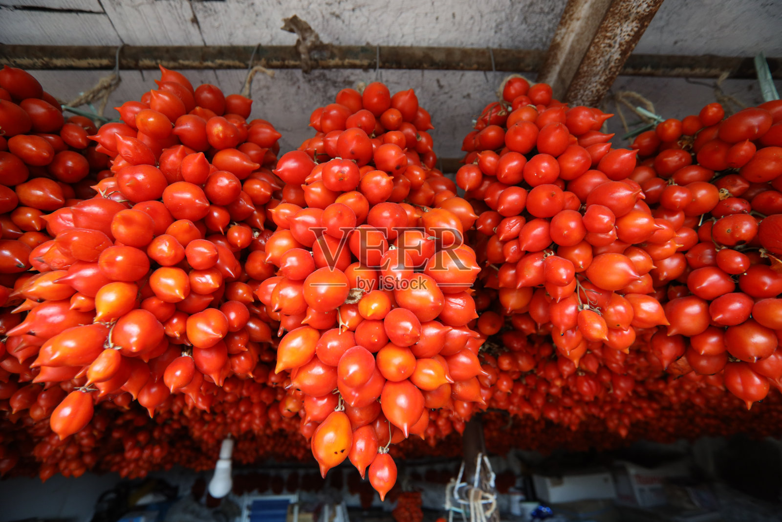 维苏威番茄照片摄影图片