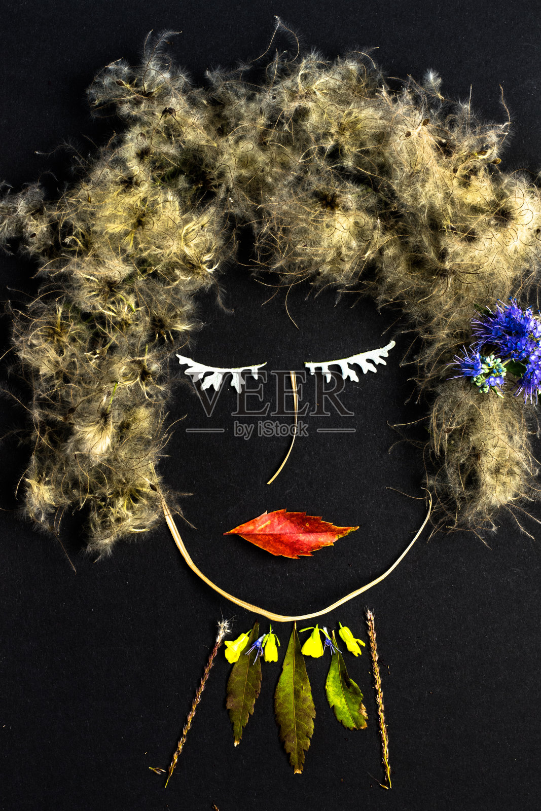 秋天的创意与丰富多彩的秋叶和花朵照片摄影图片