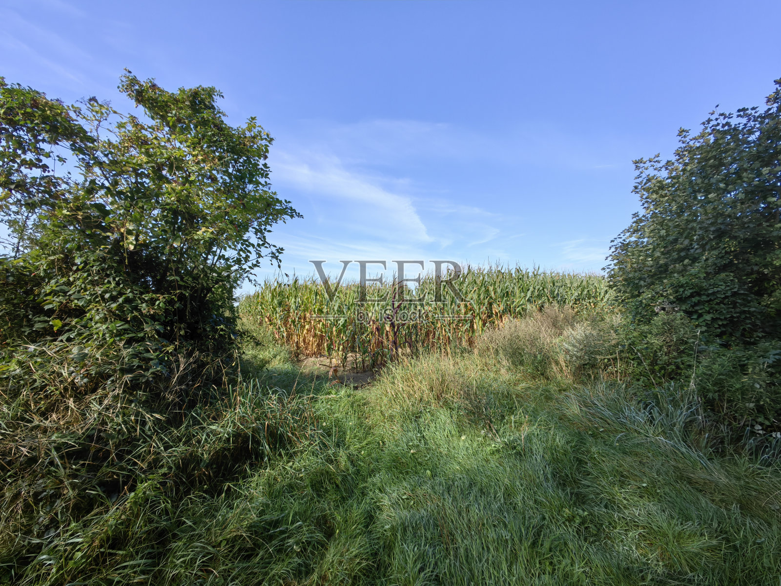 在秋天漫步汉堡周边照片摄影图片