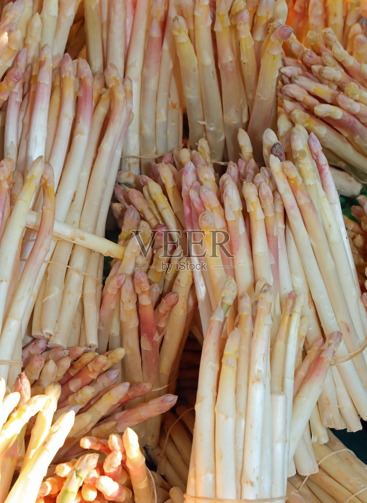 一簇簇的新鲜白芦笋待售照片摄影图片