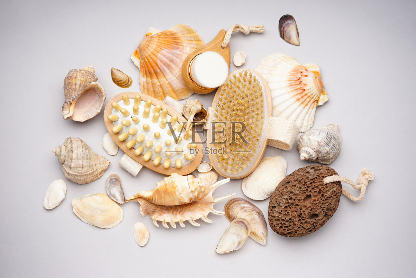 灰色背景上许多美丽的贝壳，俯视图照片摄影图片