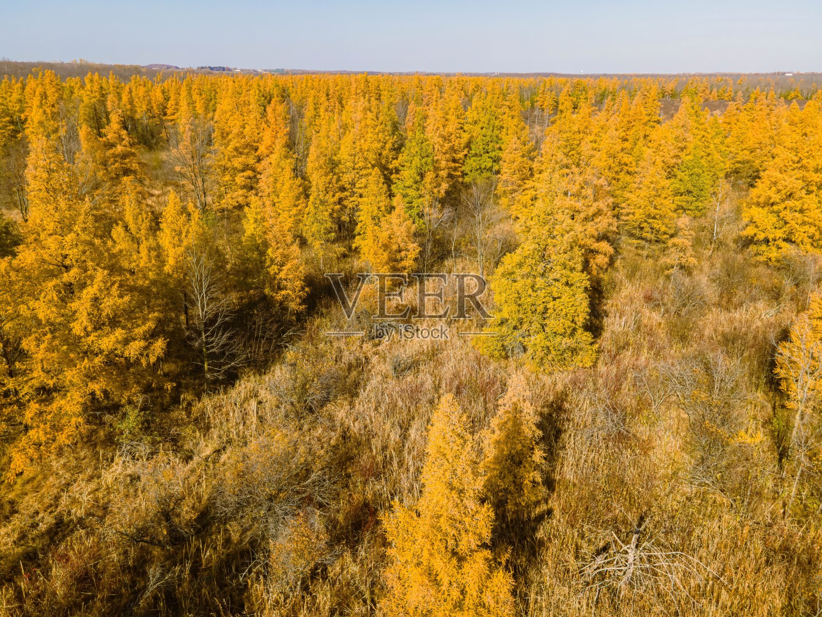 威斯康星州的金秋照片摄影图片