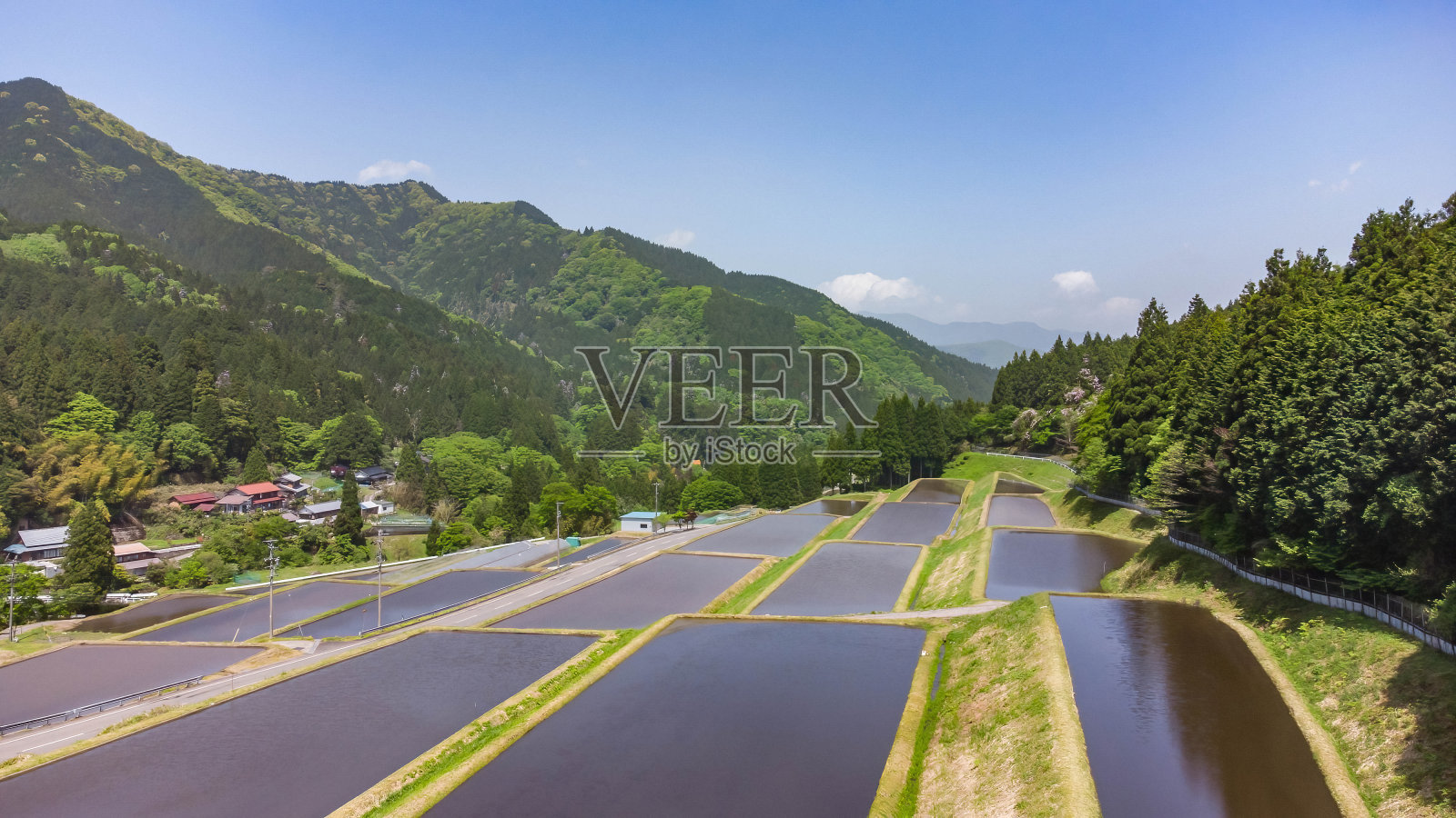 梯田照片摄影图片