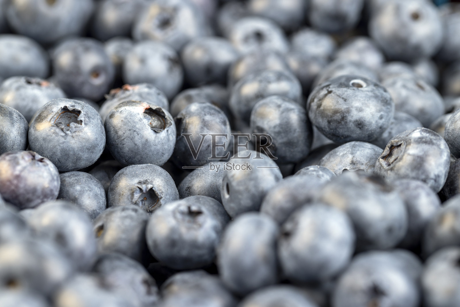 香甜可口的蓝莓在销售前储存照片摄影图片