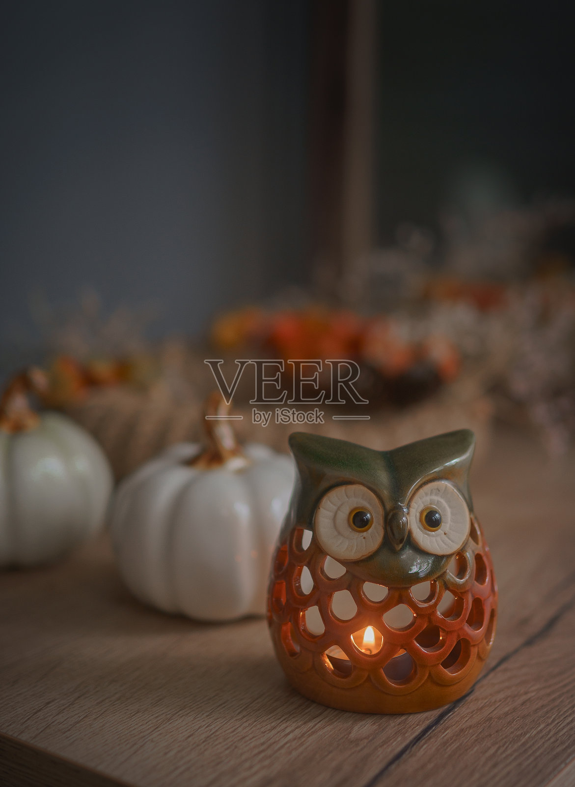 猫头鹰形状的秋天烛台照片摄影图片