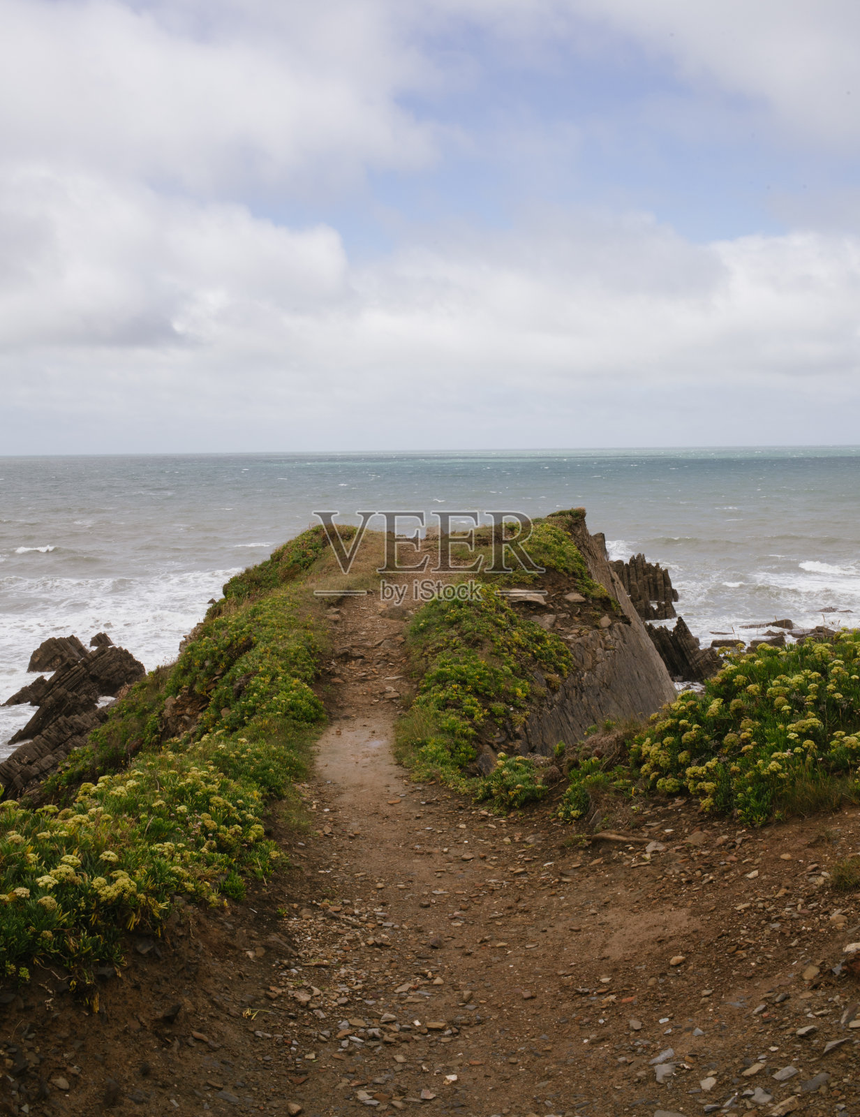 驶向大海照片摄影图片