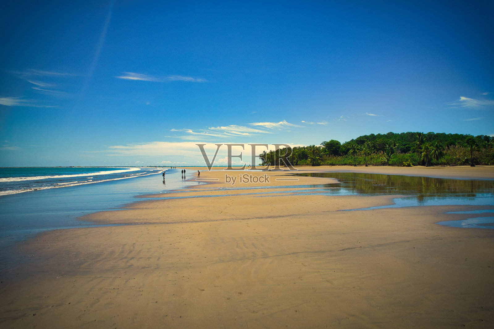 鸟瞰哥斯达黎加蓬塔雷纳斯乌维塔的巴伊亚巴雷纳国家公园。无人驾驶飞机的照片照片摄影图片