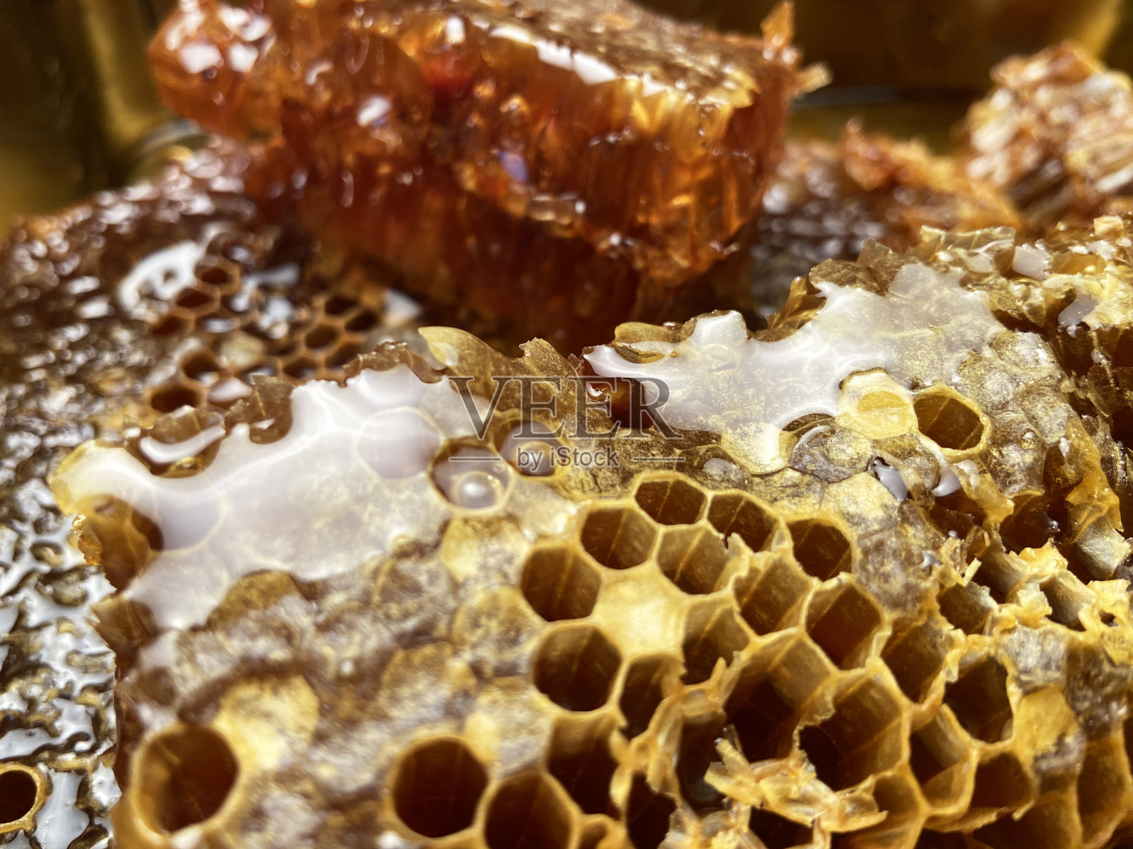 蜂蜜和蜂房照片摄影图片
