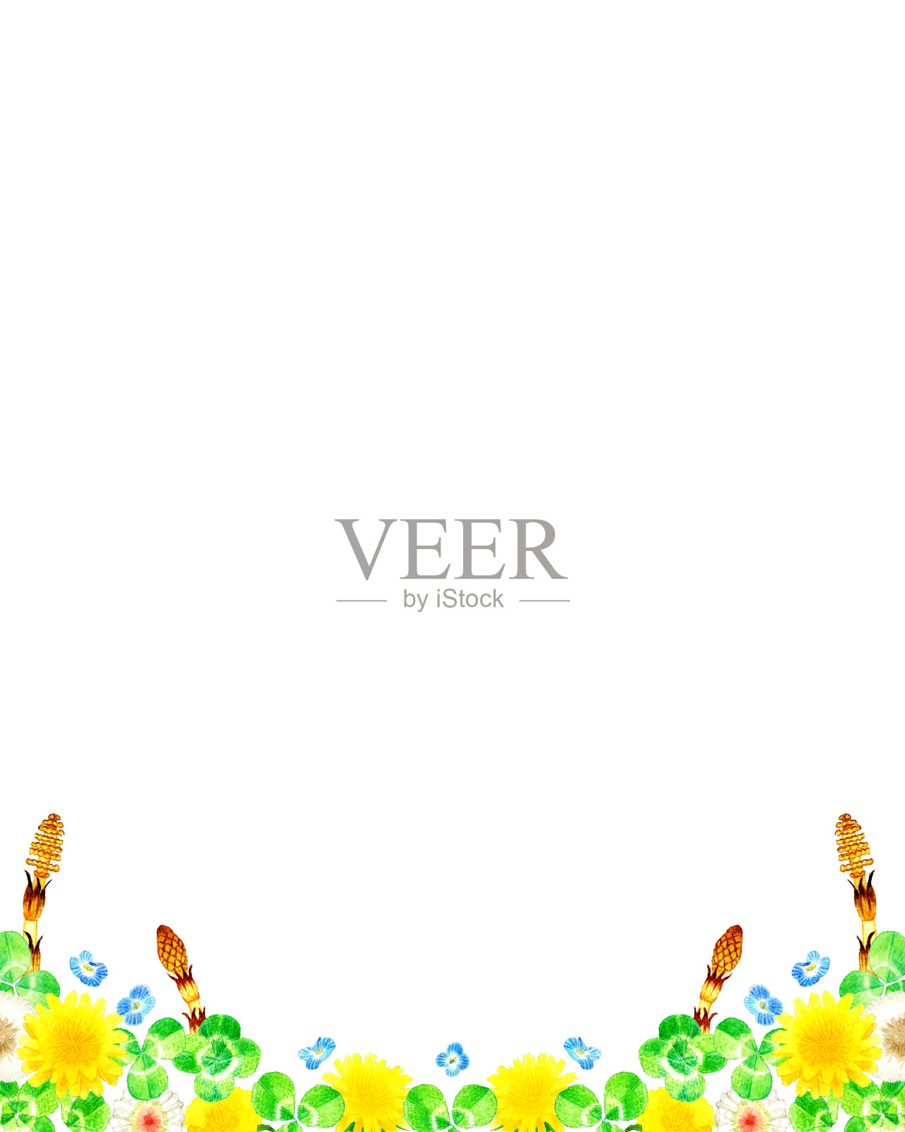 春天杂草背景剪贴画。水彩铅笔手绘的杂草和花朵插图。插画图片素材