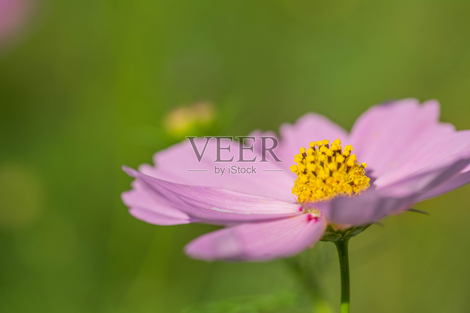 宇宙照片摄影图片