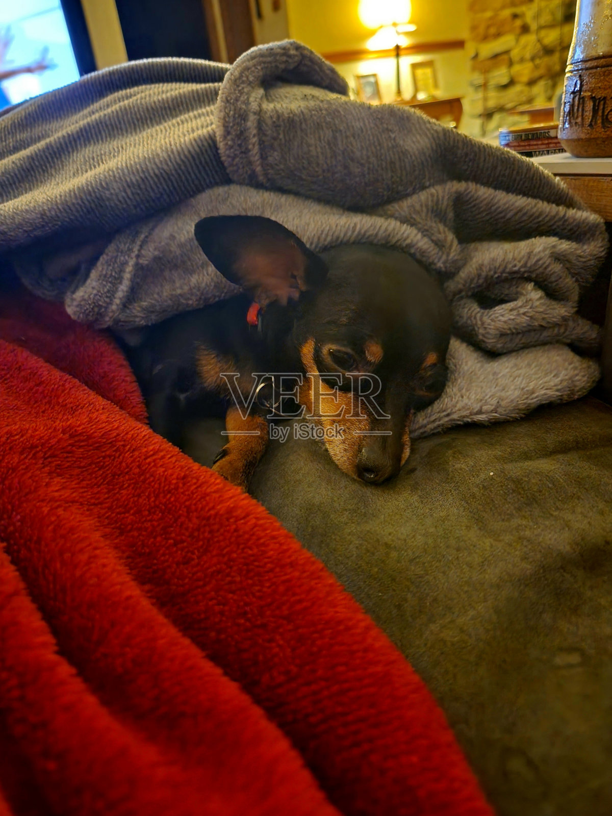 入睡的女士照片摄影图片