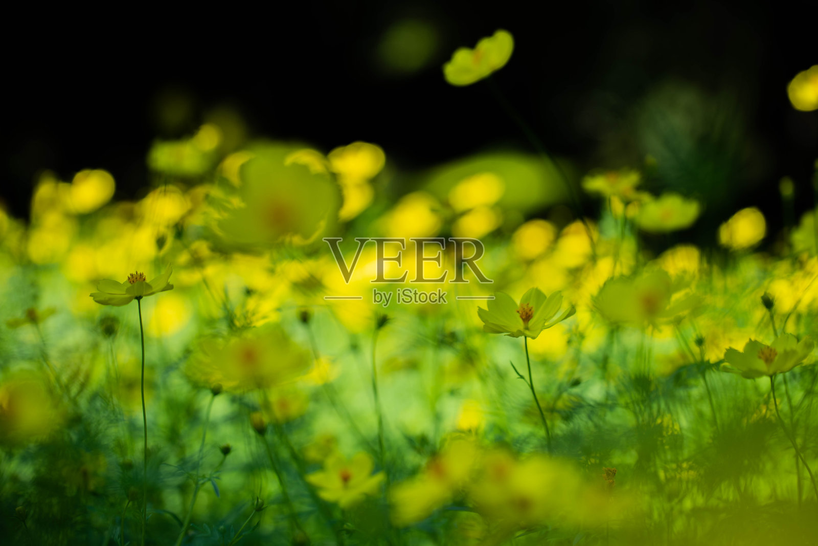 宇宙照片摄影图片