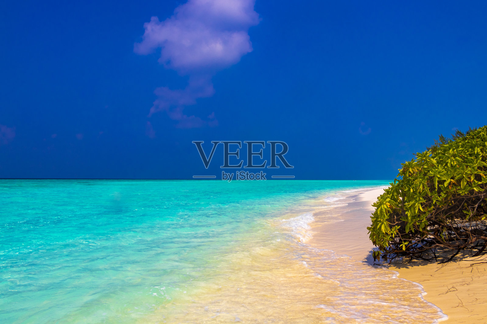 天然的热带绿松石沙洲岛屿马尔代夫的马迪瓦鲁-菲诺胡-拉斯胡环礁。照片摄影图片