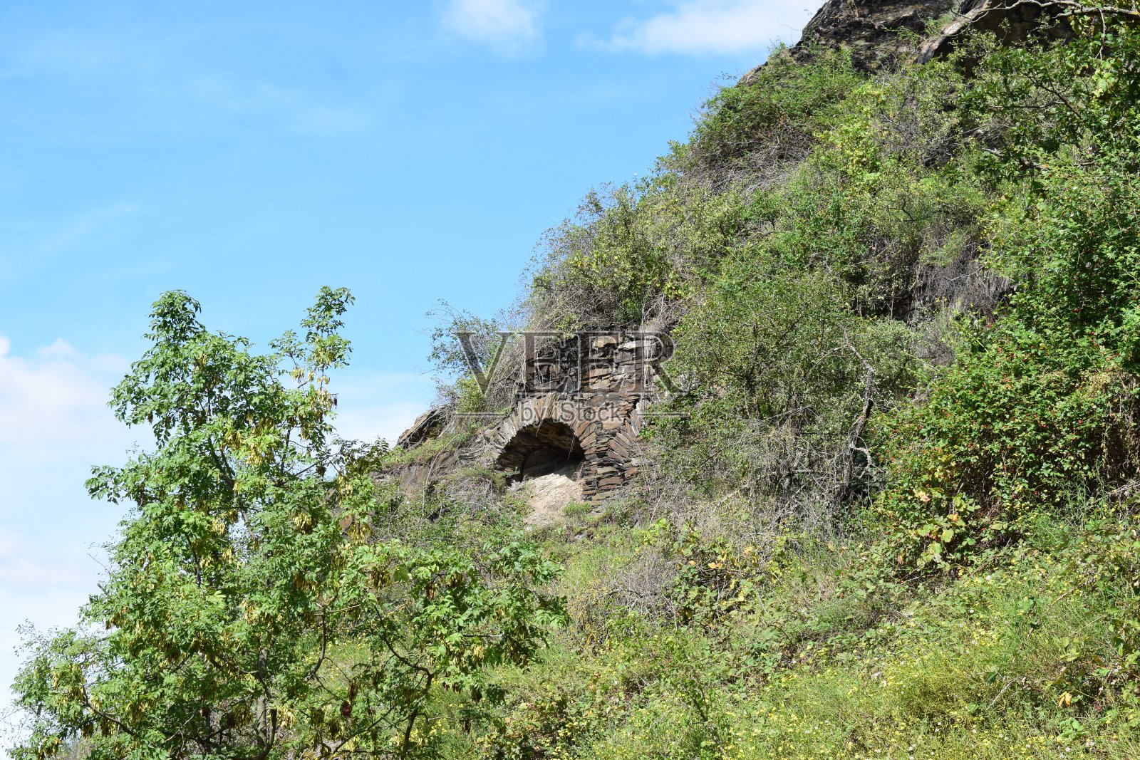 葡萄园的拱门照片摄影图片