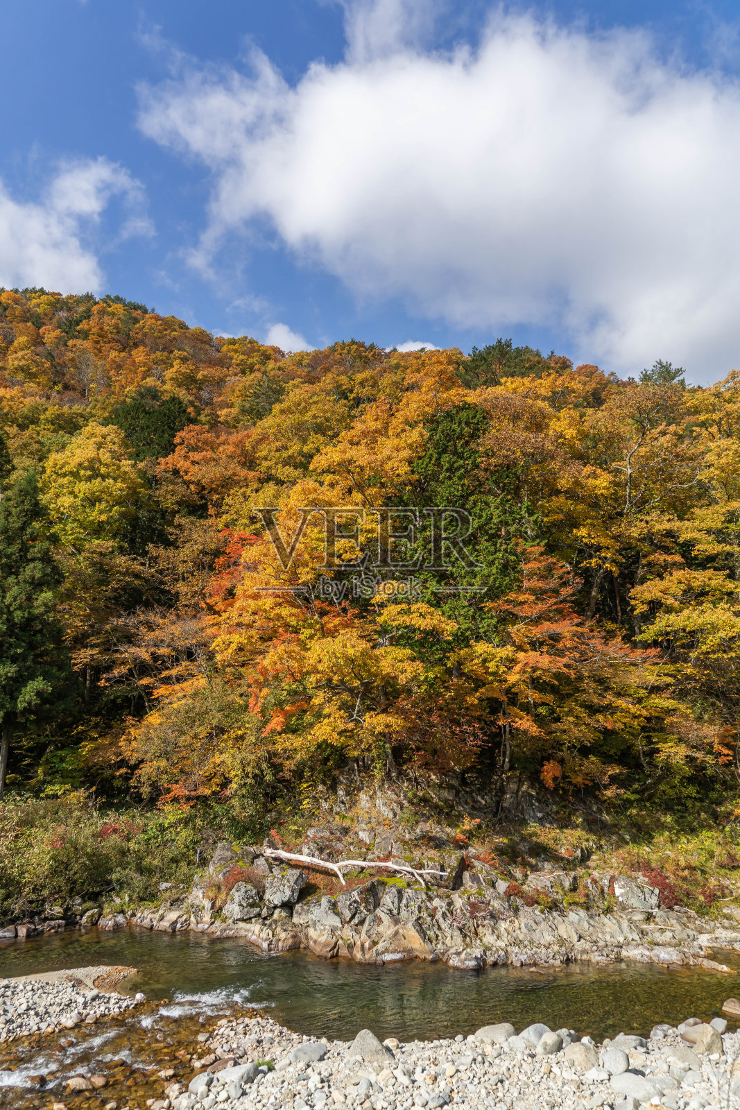 秋天景色照片摄影图片