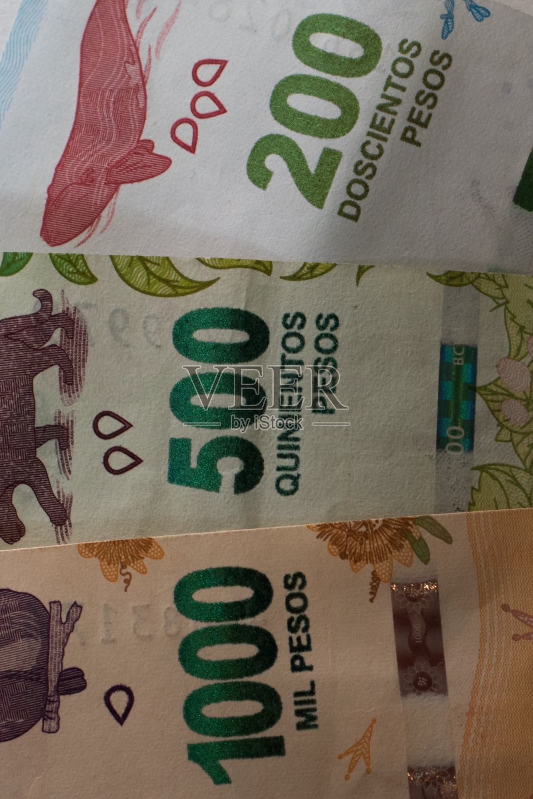 1000、500和200阿根廷比索的钞票照片摄影图片