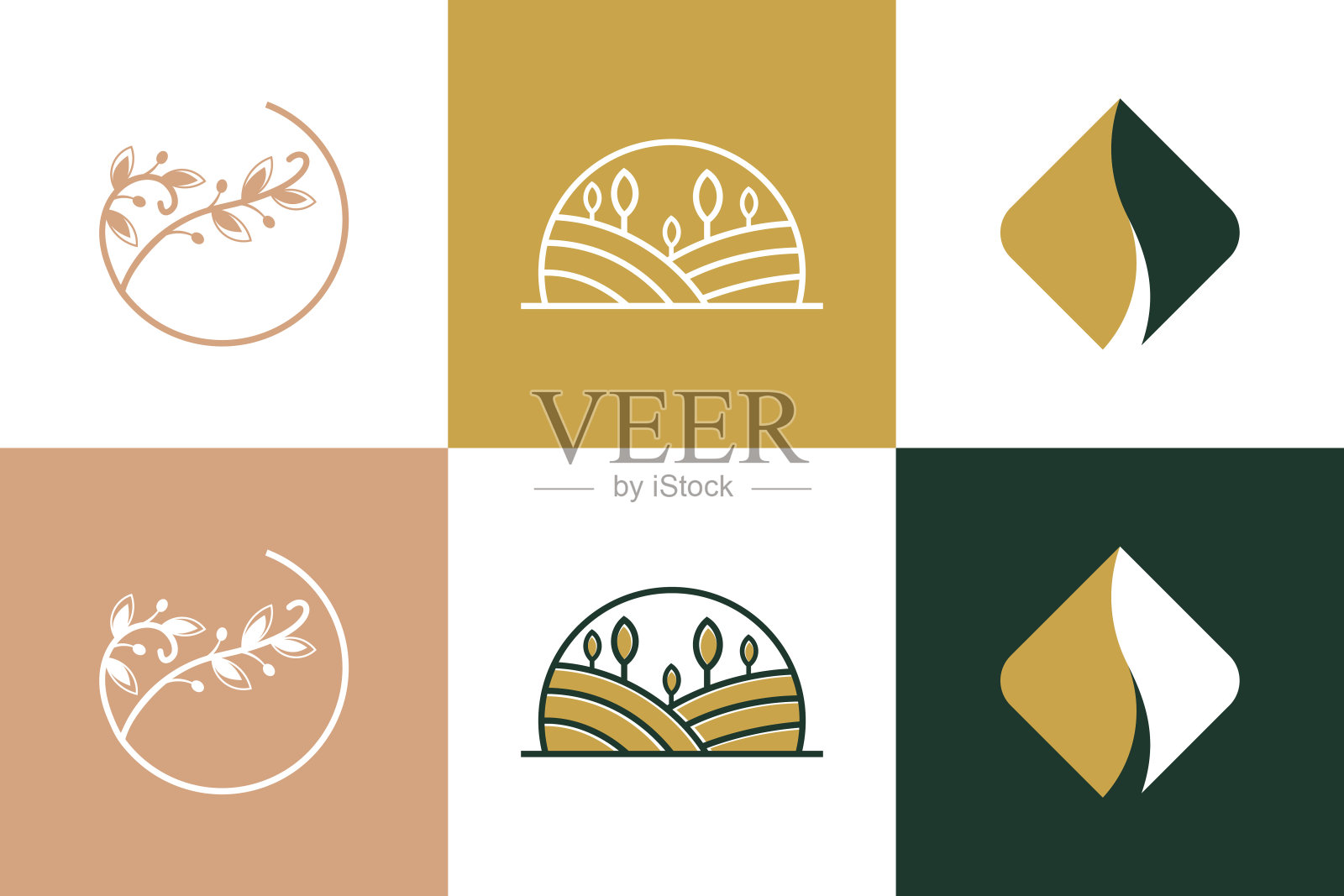 具有创意概念的自然标志设计元素向量插画图片素材