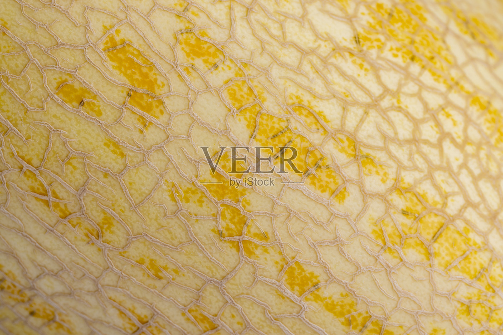 一个成熟的淡黄色甜瓜的果皮特写照片摄影图片