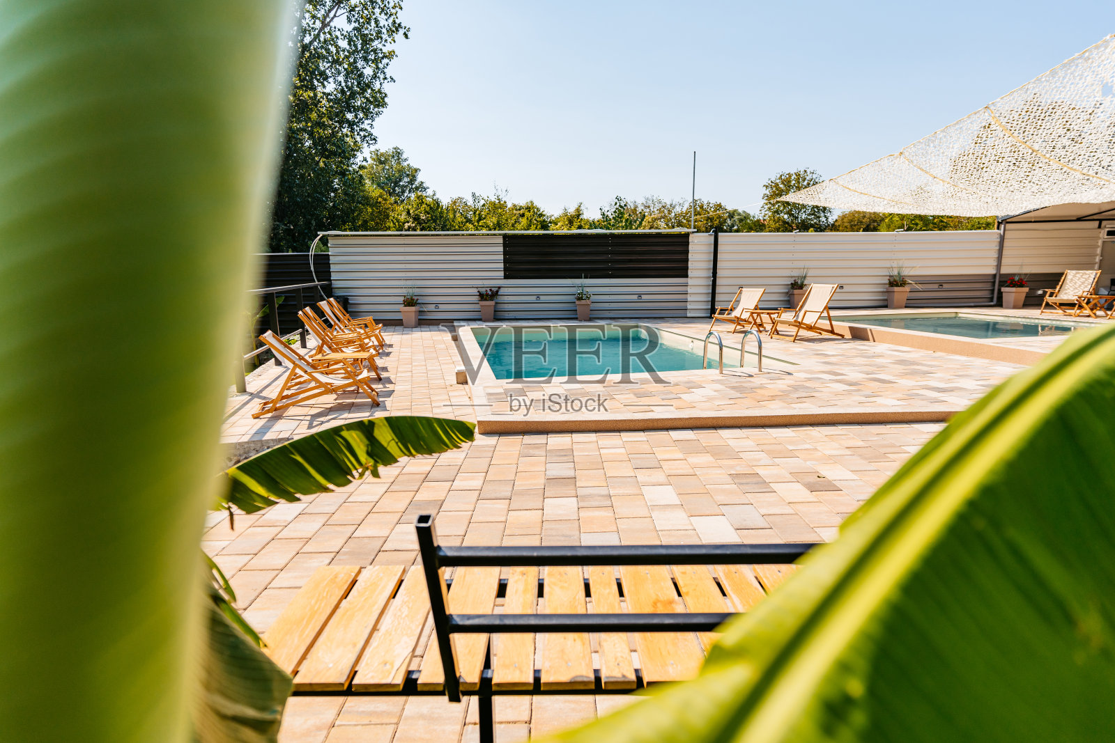 室外游泳池与躺椅在后院照片摄影图片