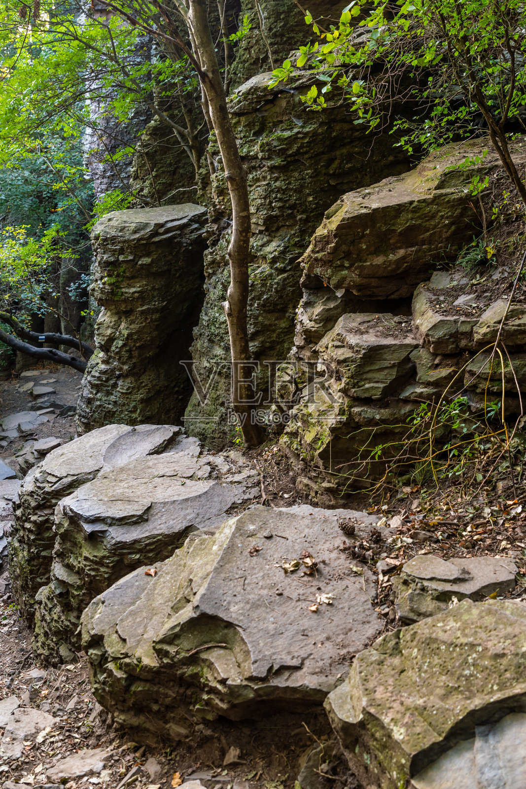玄武岩管风琴在Szent György(圣乔治)山上照片摄影图片