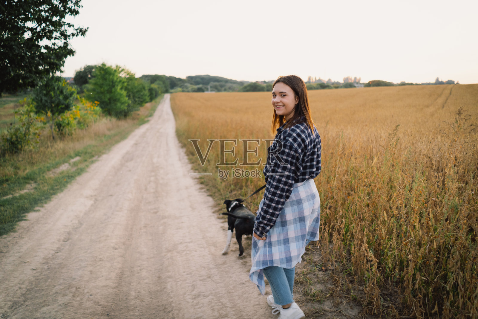 少女和她的朋友工作犬在田野背景上照片摄影图片