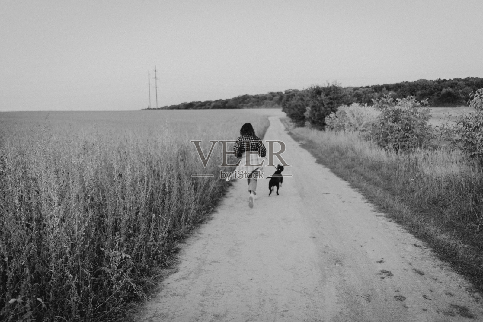 少女和她的朋友工作犬在田野背景上照片摄影图片