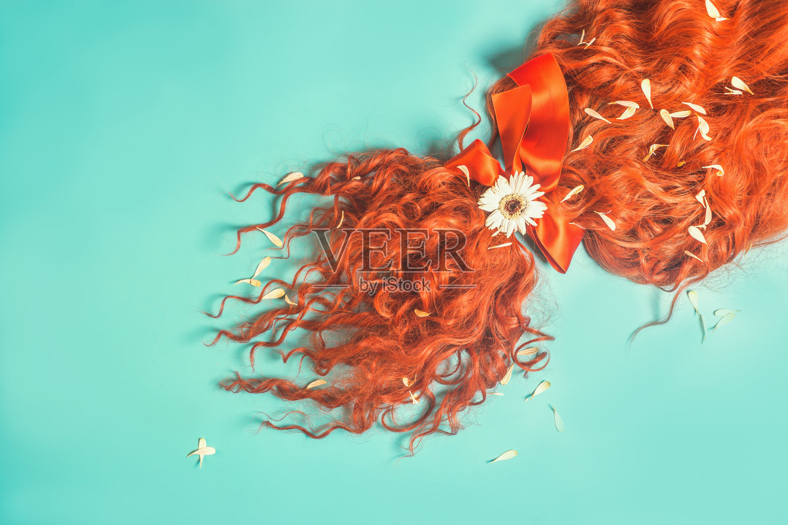 健康的红色卷发扎成马尾，用红色丝带系在蓝色背景上，配上雏菊和花瓣照片摄影图片