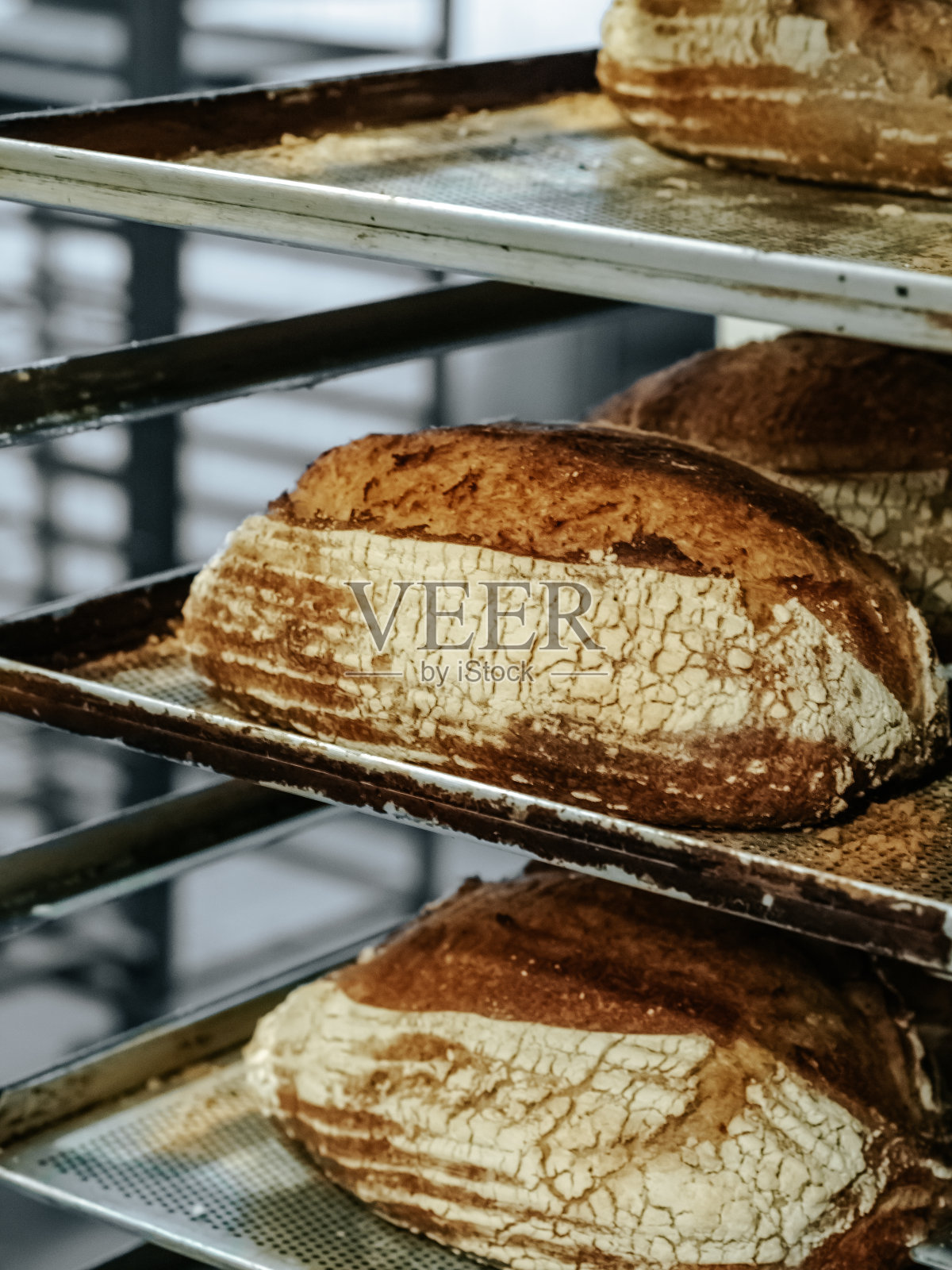 在面包店的架子上，撒上面粉的刚烤好的传统面包照片摄影图片