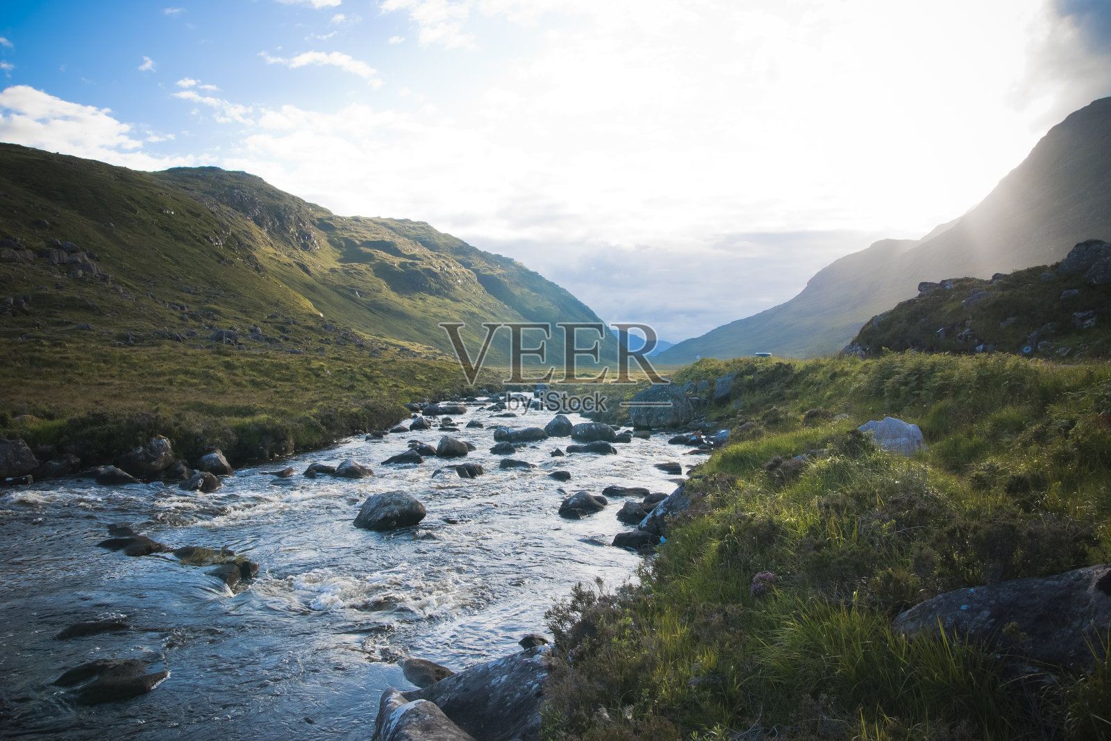 绿色的草地在乡村与夏天的颜色，树木照片摄影图片